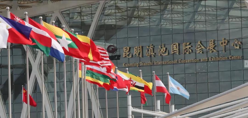 2019 South and Southeast Asia Commodity Expo and Investment Fair (SSACEIF) in Kunming