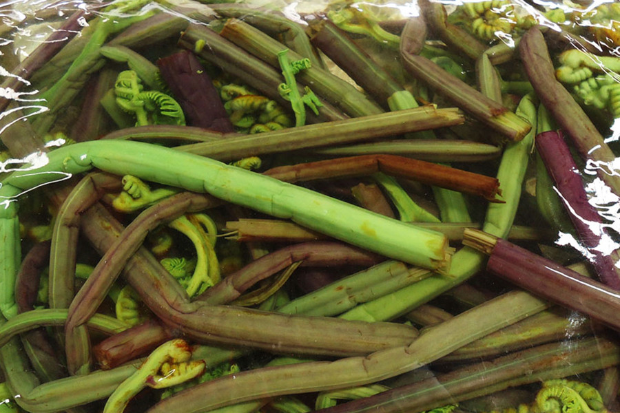 Juecai Fern Dish in Yunnan