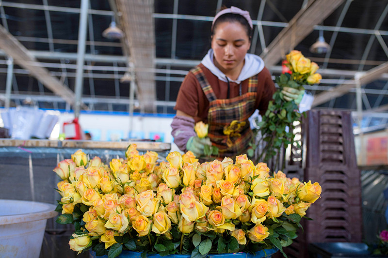 Dounan Flower Market in Kunming
