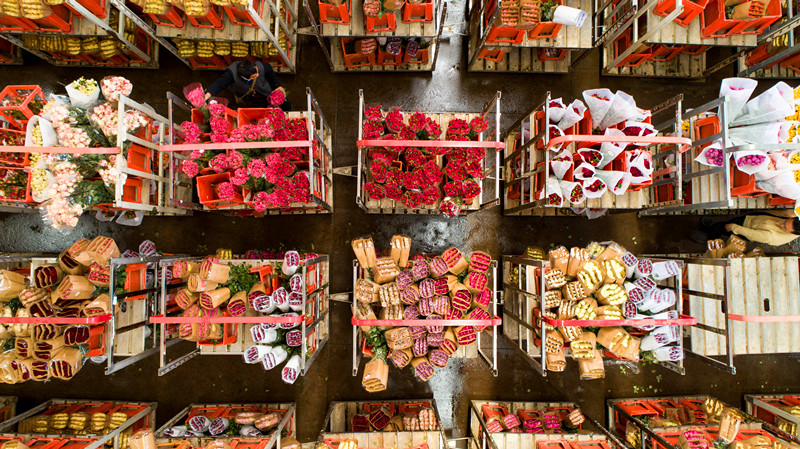 Price of Yunnan Fresh Flowers in Dounan Fresh Flowers Market