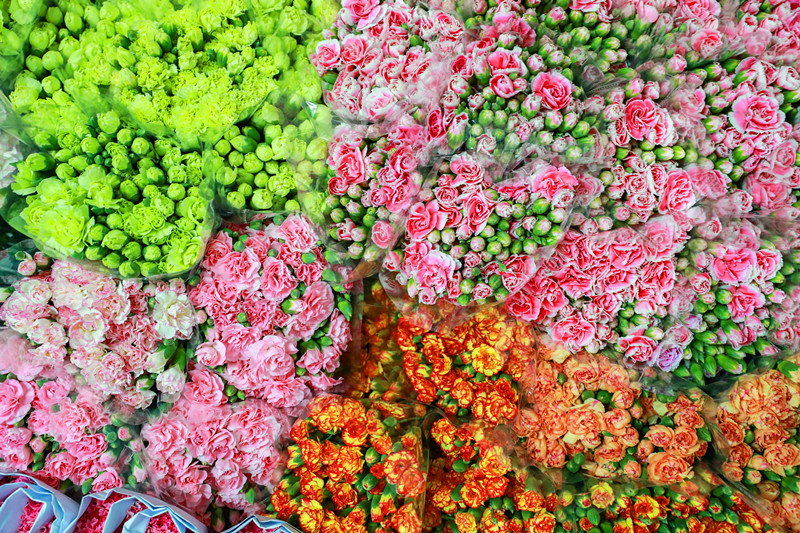 Flowers in Yunnan