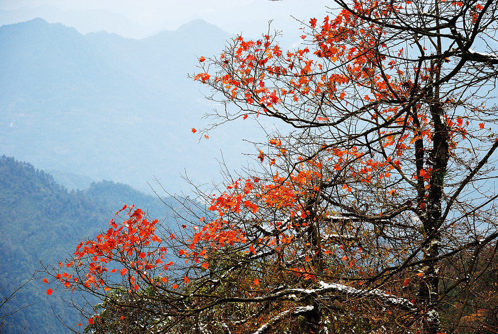 An autumn view of the Mount Emei Scenic Area in Sichuan Province