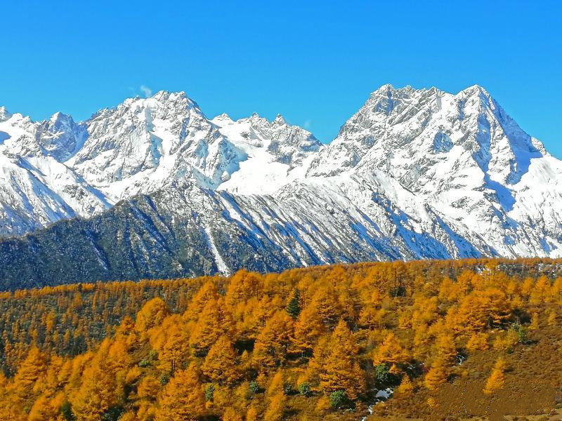 How to Plan Diqing Tours