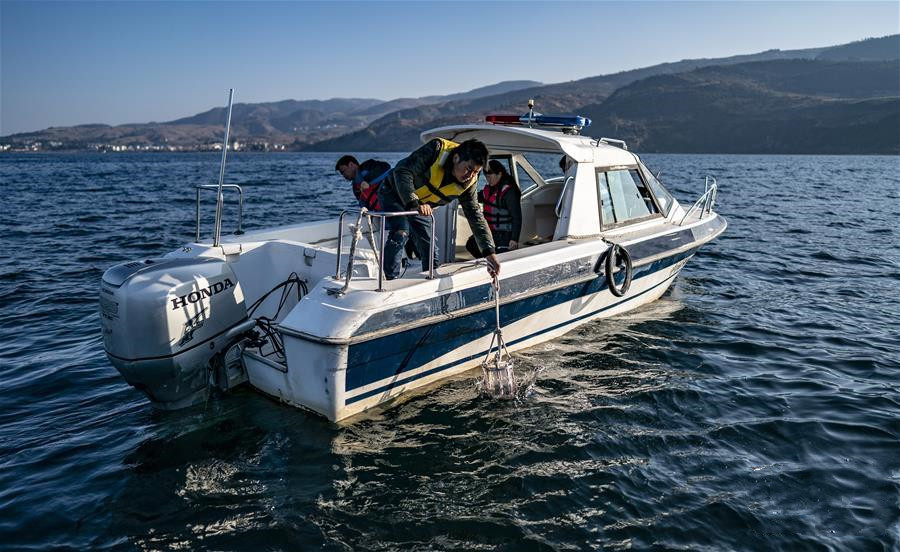 Fuxian Lake boasts first-class water in 2019