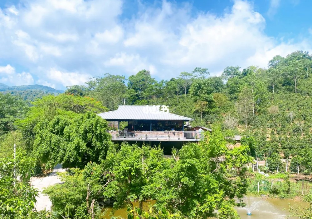 ManLao River Coffee in Yunnan