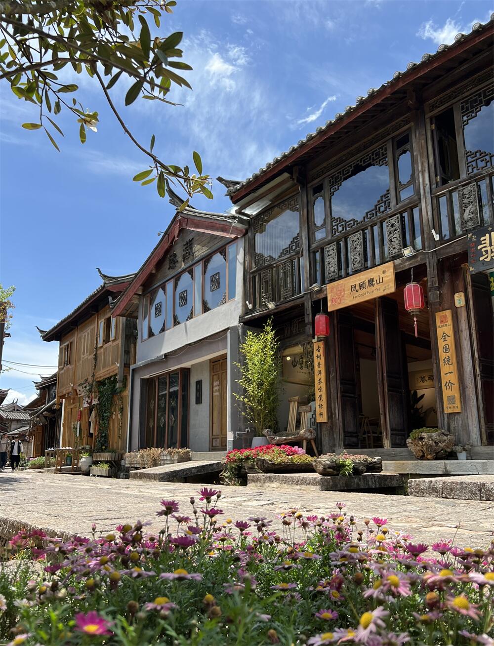 Fenggu Yingshan Tea House and Tea Culture Learning Lijiang