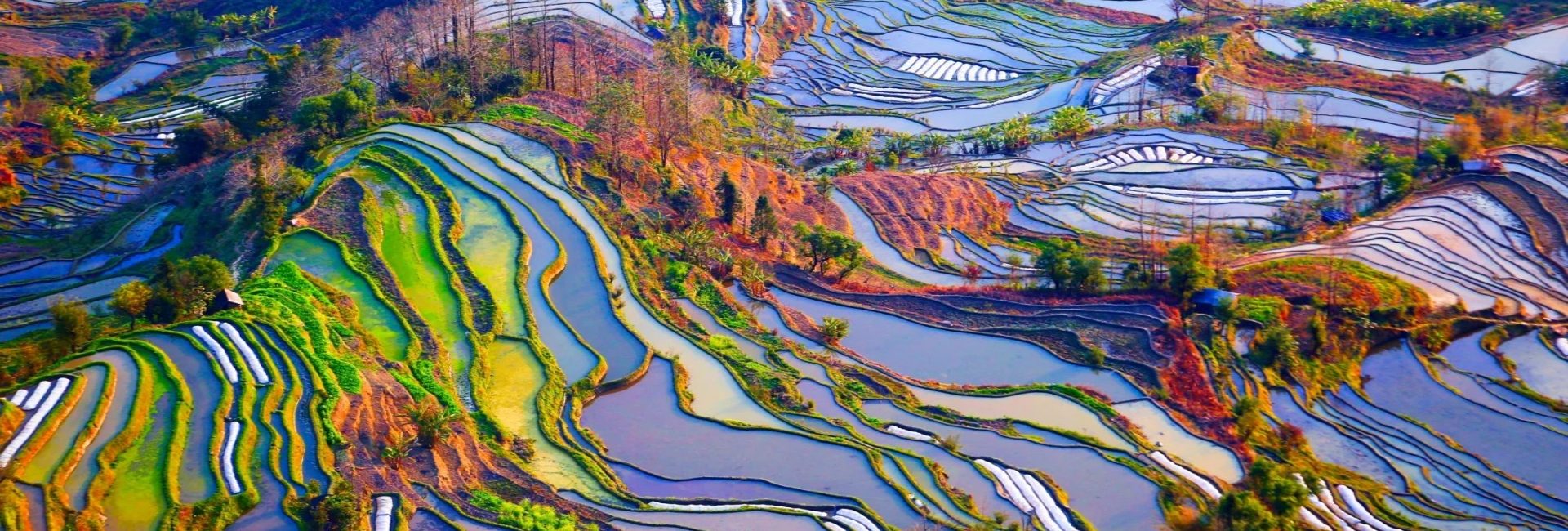 Yuanyang Rice Terraces Tour