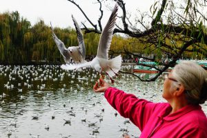 Climate & When to Go, Wuhua District , China