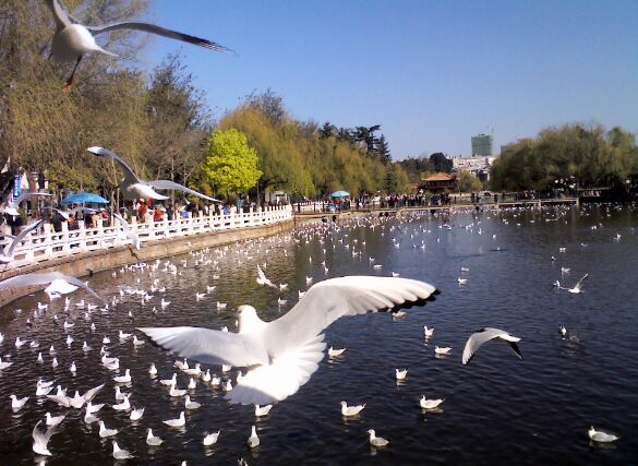 The Green Lake Park in Kunming
