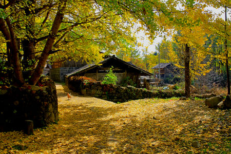 Things to Do and Attractions in Tengchong City