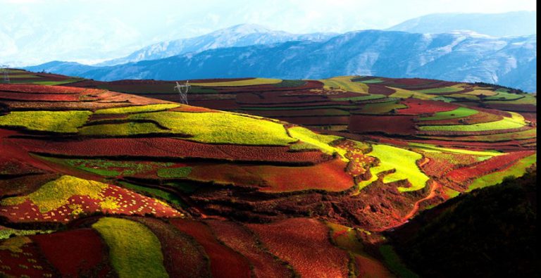 Dongchuan Red Land