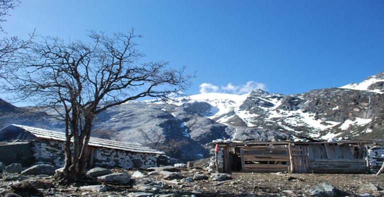 Tour image