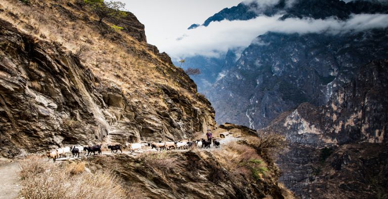 A view from our hike along Tiger Leaping Gorge in China