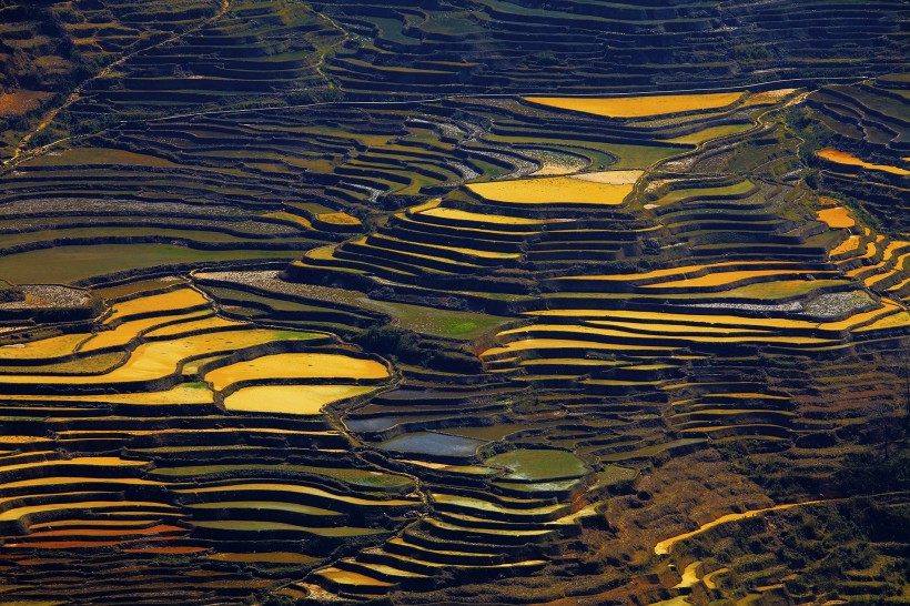 Hiking Tours and Travel Tips of Duoyishu Hani Rice Terraces in Yuanyang